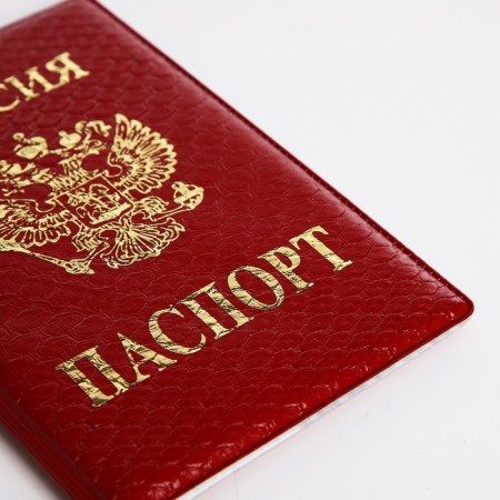 Cover for passport, red color-4