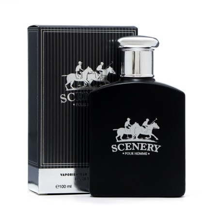Male toilet water SCENERY, 100 ml-2