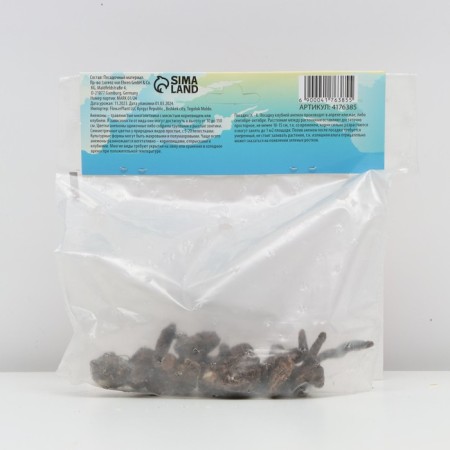 ANEMONARY CORRENT "SELFIDA", RR 6/7, 10 pcs, Spring 2024-1