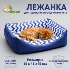 Sygn-Zag Lynchik, 55 x 45 x 15 cm, blue