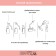 Whey-Buster for the face and neck Dermolab anti eta ’plus, recovering, 30 ml