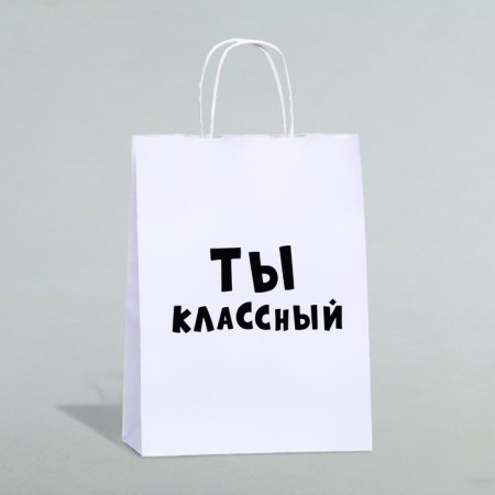 Gift package "You are cool", 24 x 10.5 x 32 cm, 1 pcs