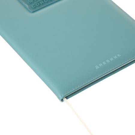 Universal diary for grade 1-11 Modern Concept, solid cover, artificial leather, silkography, liesse, 80 g/m2-2