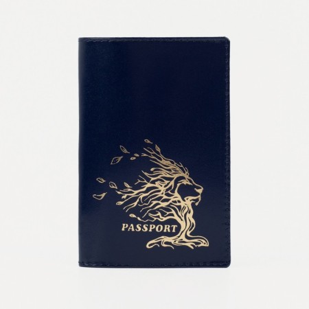 Cover for passport, blue color