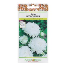 Flowers of Astra 