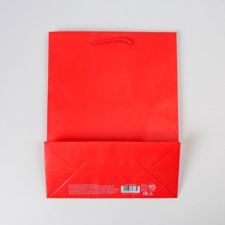Gift laminated package, packaging, “red”, MS 18 x 23 x 8 cm-4