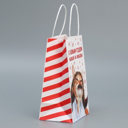 Package Gift Craft "For Love", 12 x 21 x 9 cm, New Year-1