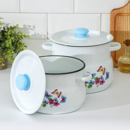 Set of pan "violet", 2 items: 4/5.5 l, enameled covers, induction, color of mix-1