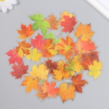 Stickers for creativity plastic 