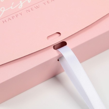 Bearbox Two -way "Pink New Year", 20 x 18 x 5 cm, New Year-3