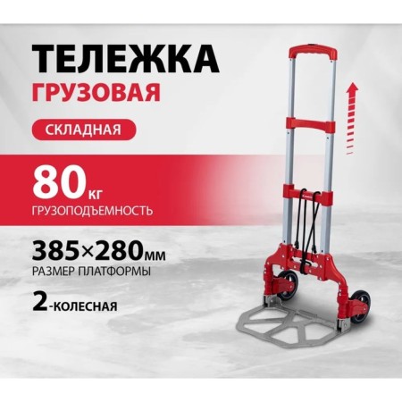 Carries, carrying capacity 80 kg, 38.5x28x97 cm