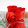 Soap roses, red, set 10 pcs.