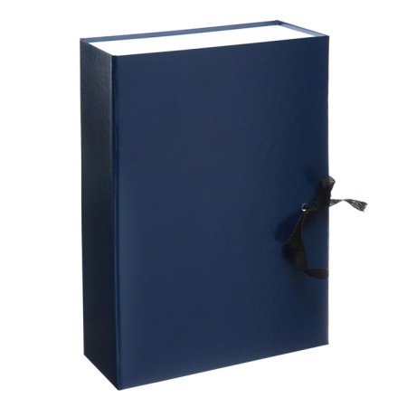 Archive box with A4 ties, calligrata, 100 mm boumvinyl, up to 800 sheets, blue-1