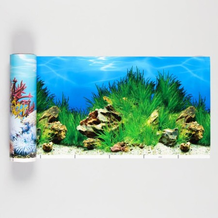 Background for the aquarium double -sided, 30 cm, roll 15 m
