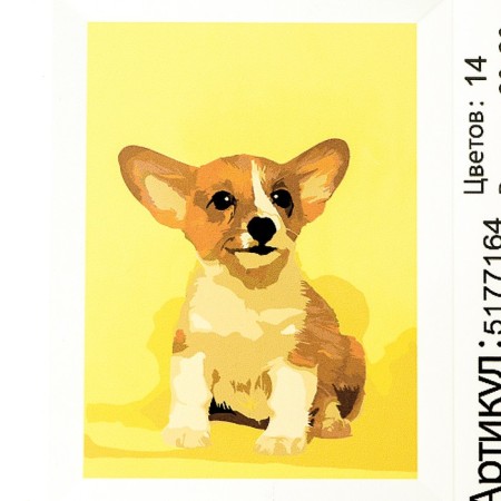 Picture on numbers on canvas with a subframe "Puppy Corgi", 30x20 cm-6
