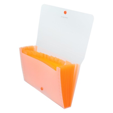 A4 cartridge folder on the 13 departments button, Erichkrause, Matt Neon, transparent plastic, mix-6