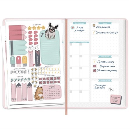 School School A5 80 sheets "pink", solid cover of artificial leather, foil embossing, liesse, reference material, block 70 g/m2-9