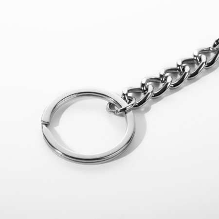 Ring for a keychain on a chain, with a carbine, d = 28 mm, 39 cm, silver color-2