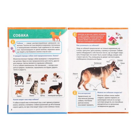 Encyclopedia for small pits "pets"-4