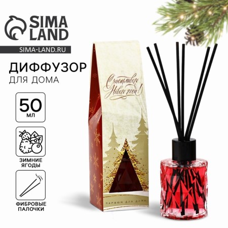Aromadiffusor aromatic sticks "New Year's collection", aroma winter berries, 50 ml