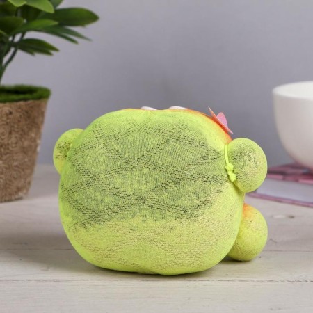 Growing gift Eco -Zhizhivchik "heart" mix-3