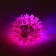 Ball luminous mini for cats, tpr, 3.5 cm, fuchsia