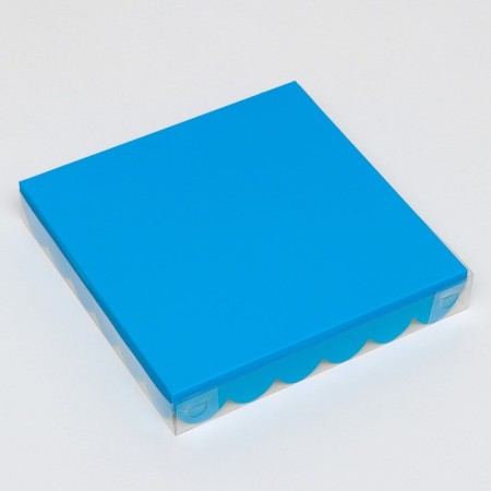 Box for cookies, blue, 18 x 18 x 3 cm-2