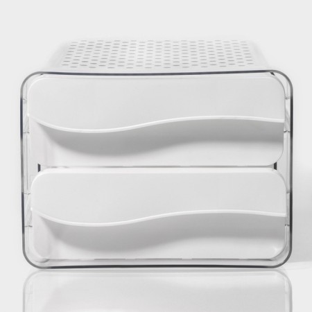 Container for storage of ovice shares, 40 cells, 27 × 22 × 16 cm, white color-5
