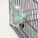 Drill for rodents, 60 ml, transparent with green mount