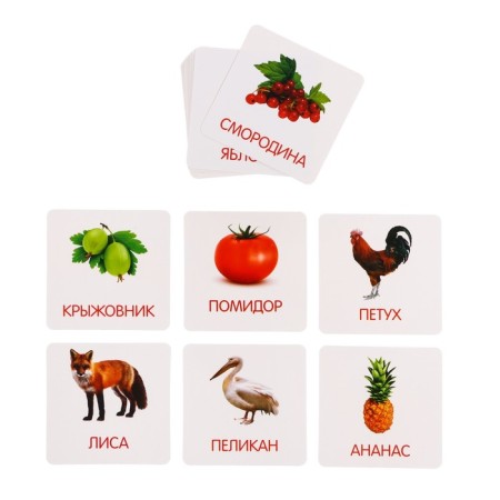 Developing set with hammers "Cards of Doman"-1