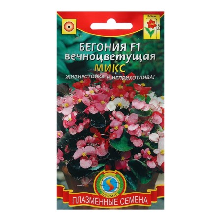 Begonia seeds Eternally flowering "mix", f1, 10 pcs