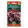 Begonia seeds Eternally flowering "mix", f1, 10 pcs