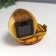 Souvenir Polystone Light "Surprised Turtle" from the solar battery 9x7.5x11.5 cm
