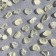 Set for creativity "Removes", Gateovka, faction 0.7-0.9 cm, 100 grams