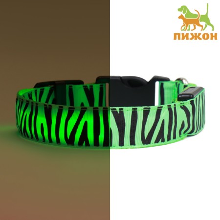Collar with backlight tiger 3 glow modes Size S, Osh 22-40 x 2.5 cm Green