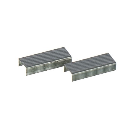 Stapes No. 10 Calligrata, 1000 pcs.-2