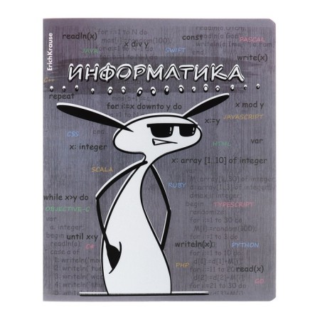 A set of subject notebooks 48 sheets, 12 pieces, Erichkrause "Chubrik", plastic cover silk-screen covers, Blok Offset 100%, information block-9