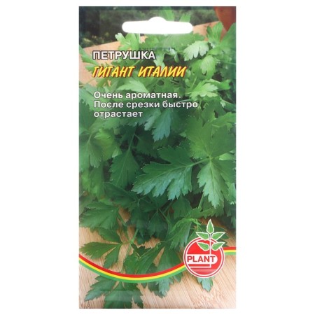 Parsley seeds "Italian giant", 1g