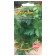 Parsley seeds "Italian giant", 1g
