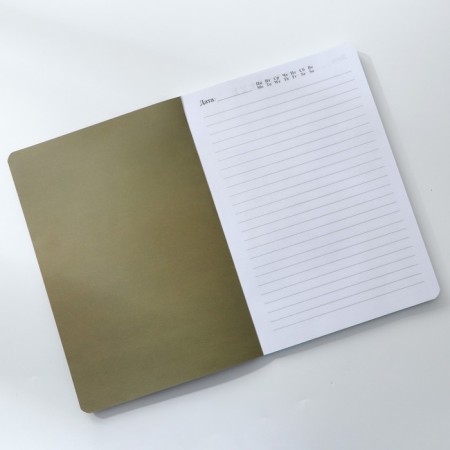 Diary A5+, 100 sheets soft region.-3