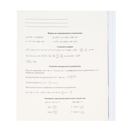 A notebook “Magic”, 48 sheets in the “Algebra” cage, covered cardboard, cold foil, twin varnish, offset block-3