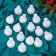 Set of balls plastic D-5 cm, 16 pcs "Felicia" white