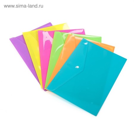 A set of 12 pieces, a button folder, A4 A4 180 MKR format, Assorted, Calligrata