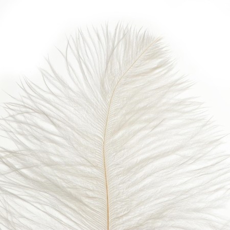 Feather for decor, size: 30-35 cm, white color-7