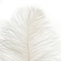 Feather for decor, size: 30-35 cm, white color