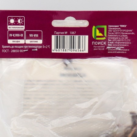 Hybrid monard "Gadenveu Scarlet", 1 pc, rr l, spring 2025-1