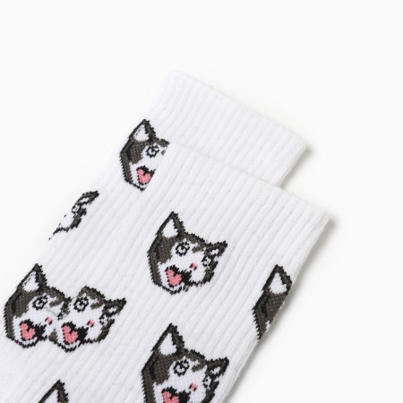 Women's socks "cat meme", white color, rr 36-40-1