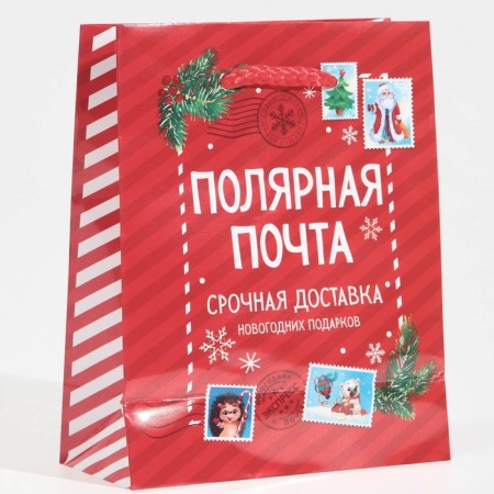 Packet Laminated Vertical Polar Mail, S 11.5 x 14.5 x 5.5 cm, New Year-2