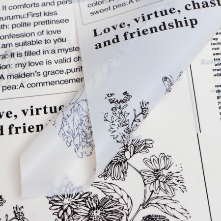 Matte film "Floristic article" White, 0.58 x 0.58 m