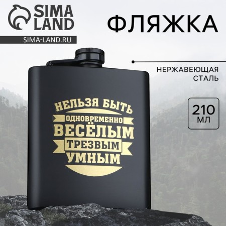 The flask "You cannot be sober", 210 ml